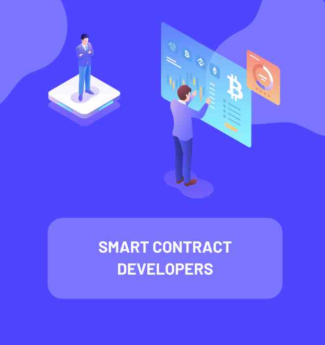 smart contract auditor